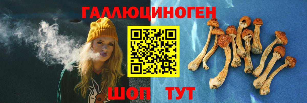 Псилоцибиновые грибы Cubensis  Вход с VPN  Астрахань 