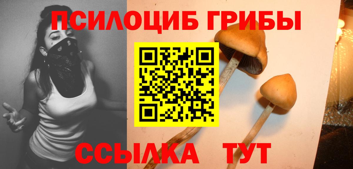 Галлюциногенные грибы ЛСД Астрахань